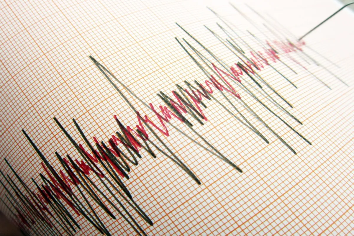 Google Smartwatch Earthquake Alert